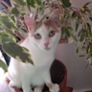 Meet your Posher, E m